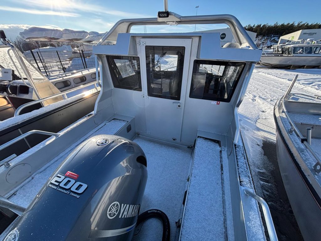 WhatsApp Image 2026-02-12 at 13.51.09