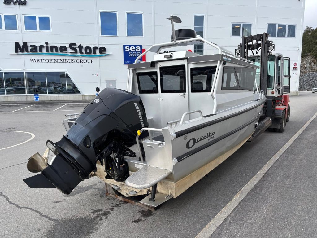 WhatsApp Image 2026-04-01 at 13.02.553