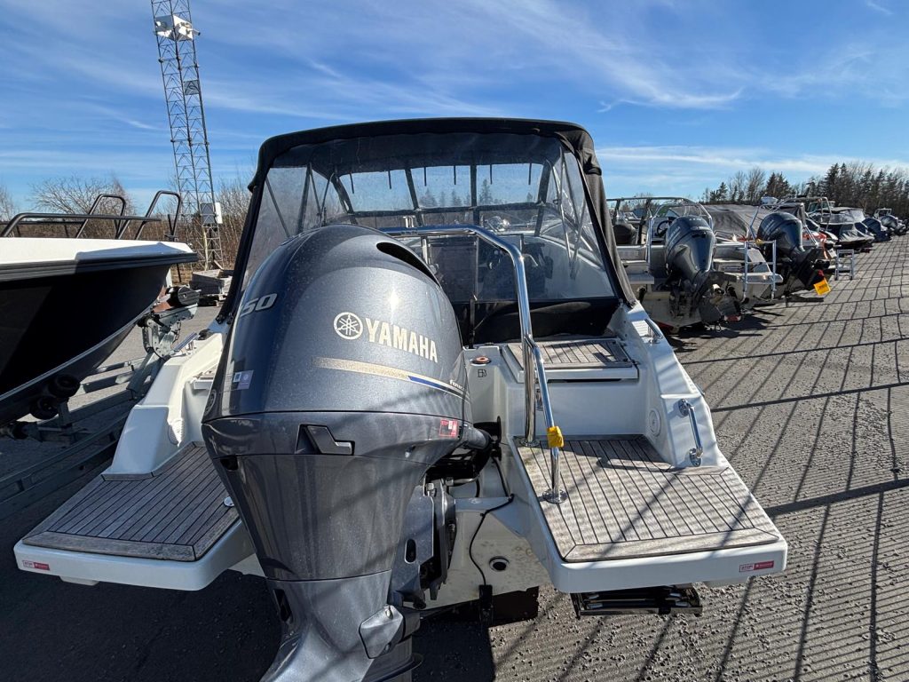 WhatsApp Image 2026-04-01 at 15.17.058